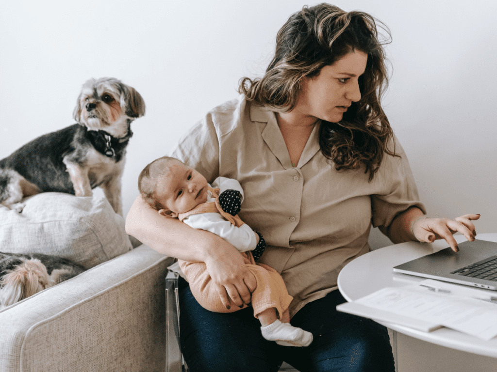 nueva-ley-animales-domesticos-abogado-de-divorcios-en-malaga-min